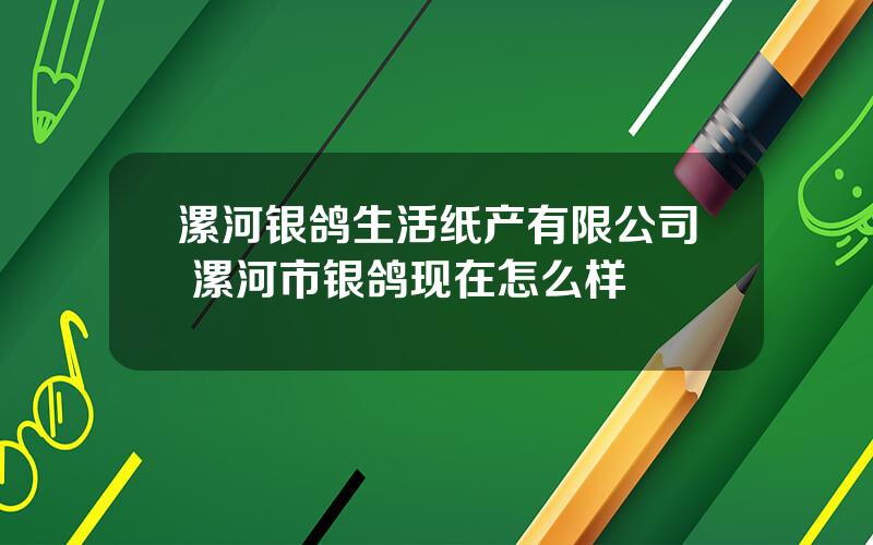 漯河银鸽生活纸产有限公司 漯河市银鸽现在怎么样